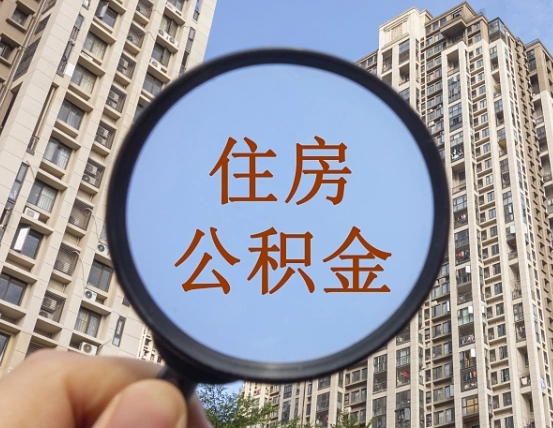 汝州退休后查不到公积金明细了吗（退休后公积金查询不到原因）